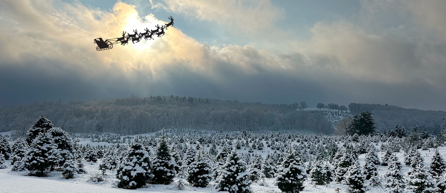 Christmas Trees Holiday Shop Main Battenfeld farm with snow covered trees and Santa with his reindeer