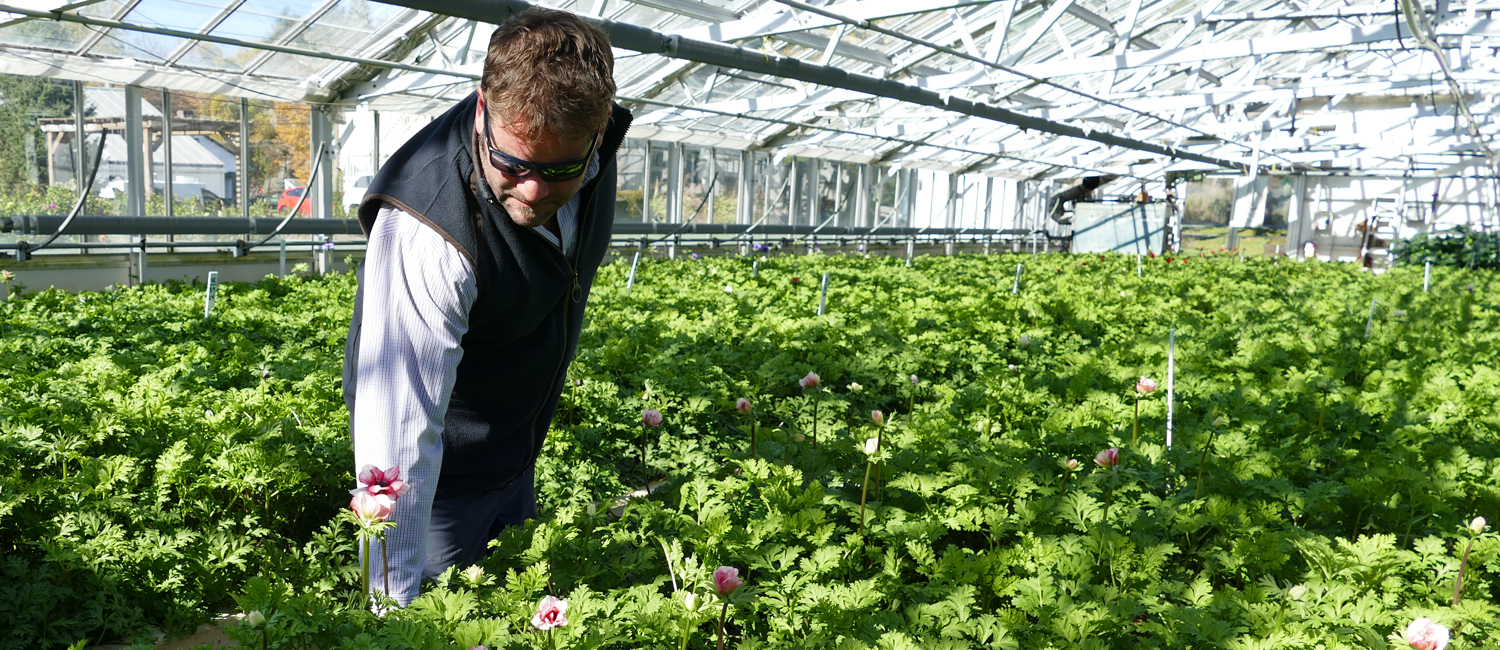 Lance in greenhouse main Lance Battenfeld in the greenhouse