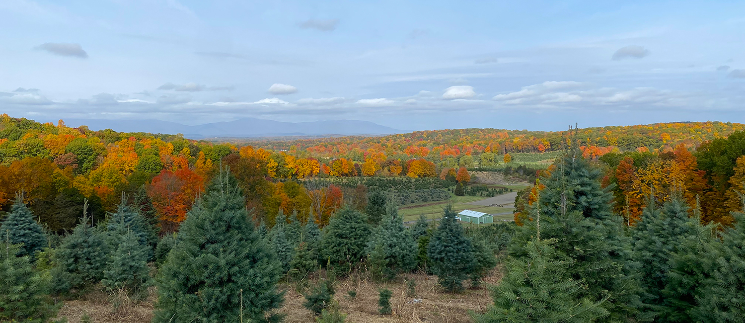 about the farm main View of the Catskills from the back of Battenfeld farm