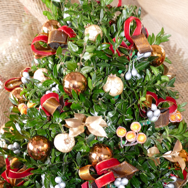 Mini tree with red and gold decorations