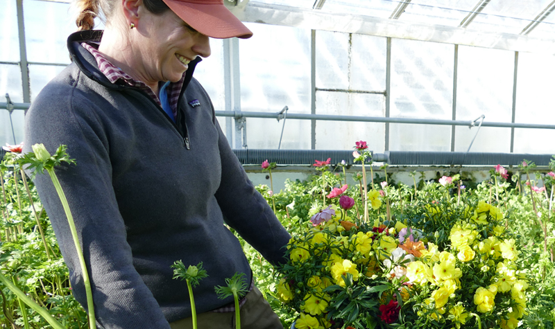 Morgan Battenfeld with ranunculas